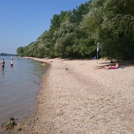 Kikelet Panzio